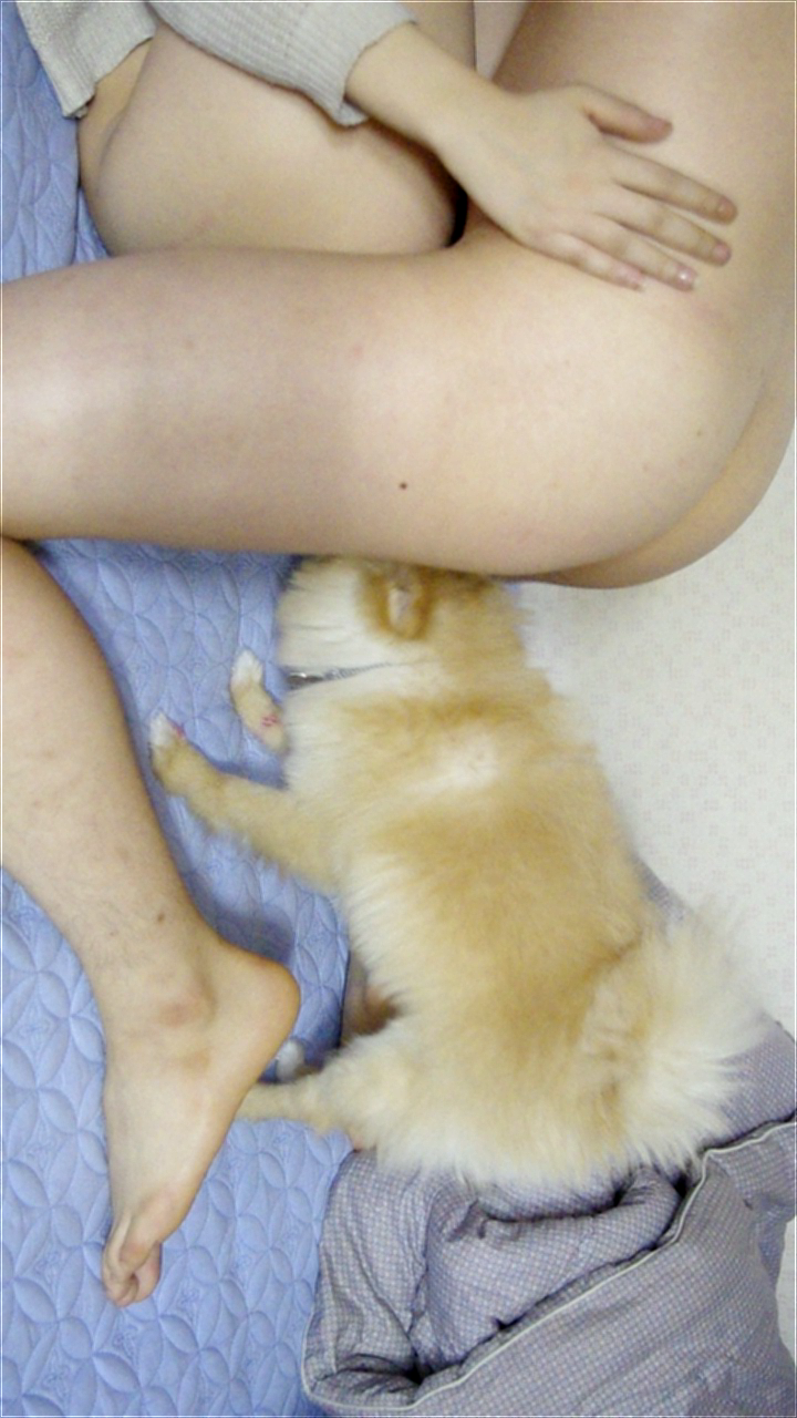 강아지있는데 섹스